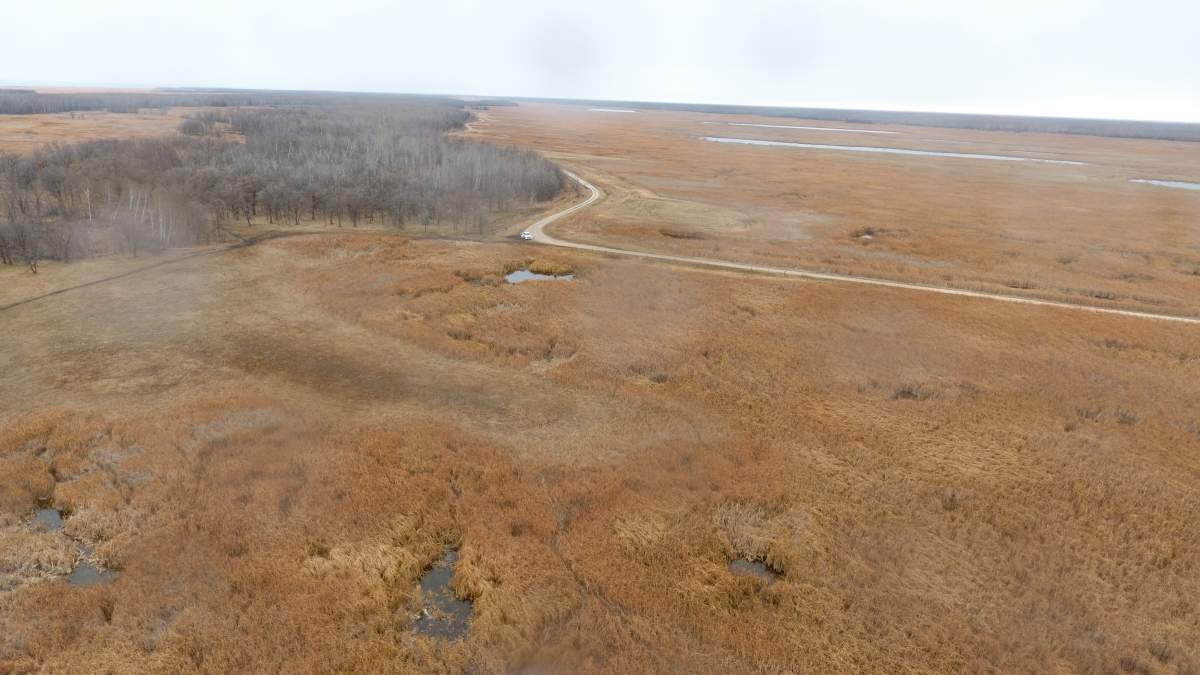 A drone shot of agricultural Crown land in the Winnipegosis area. Farmers say at previous lease rates it was affordable to keep using the low-productivity land and give cattle a chance to graze it.