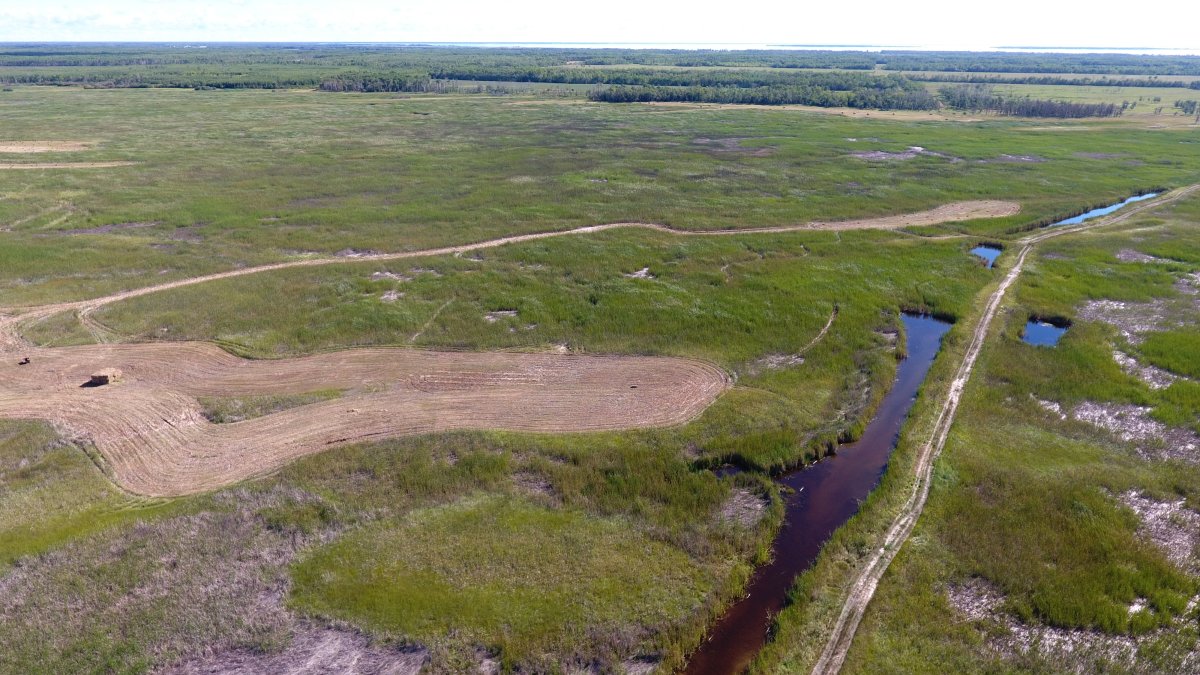 A drone shot of agricultural Crown land in the Winnipegosis area. 