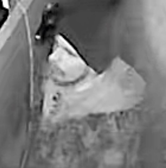 Peterborough County OPP seek the identity of this man in a theft investigation in December.