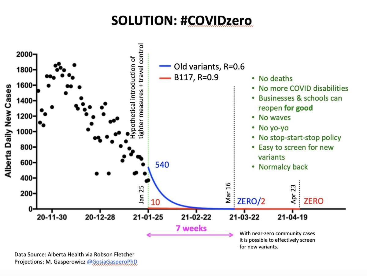 Dr. Gosia Gasperowicz, U of C. Developmental Biologist, shows how a seven week lockdown will drop new COVID-19 cases to zero in Alberta. 