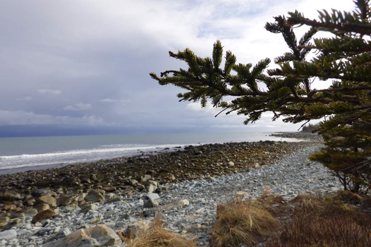 Eastern Shore community