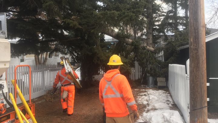 Enmax crews around Calgary could be seen working to repair power lines after a windstorm on Wednesday.