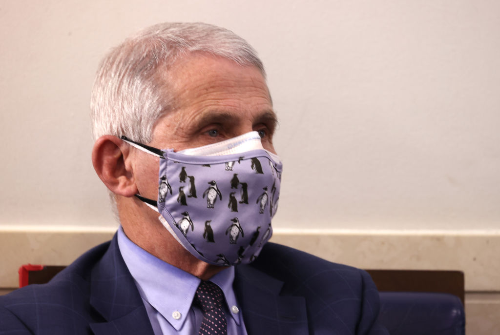 WASHINGTON, DC – NOVEMBER 19: Dr. Anthony Fauci, director of the National Institute of Allergy and Infectious Diseases, wears a protective mask during a White House Coronavirus Task Force press briefing in the James Brady Press Briefing Room at the White House on November 19, 2020 in Washington, DC. The White House held its first Coronavirus Task Force briefing in months as cases of COVID-19 are surging across the country ahead of the Thanksgiving holiday. (Photo by Tasos Katopodis/Getty Images)