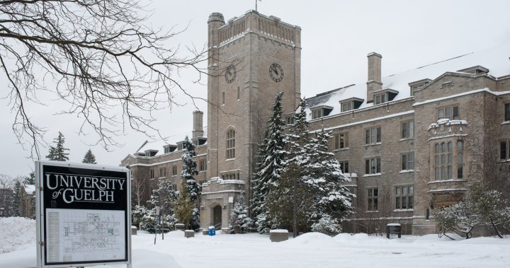 University of Guelph conducting ‘House Calls’ checking on mental health of first-year students