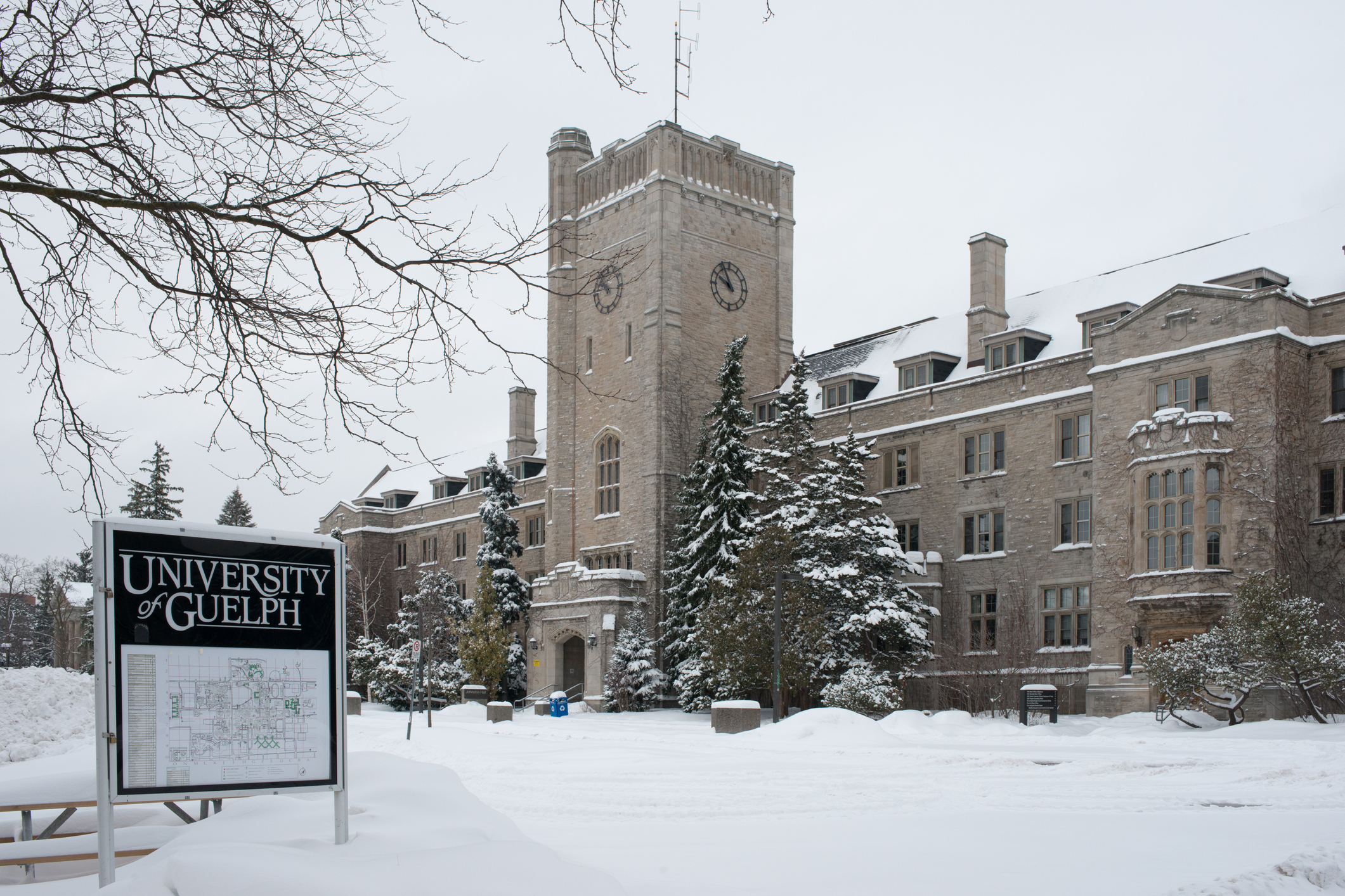 University of Guelph among top schools in QS sustainability rankings