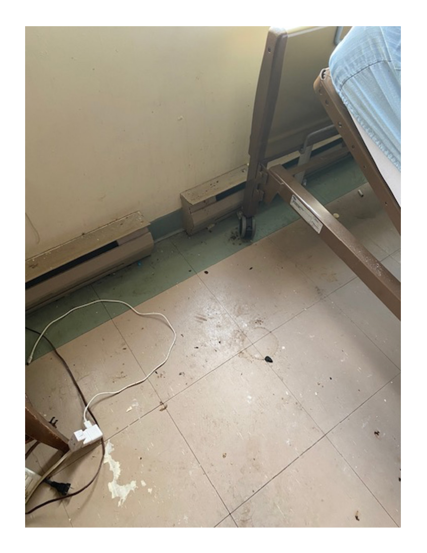 Hamilton man dies amid ‘disturbing’ living conditions at Niagara Falls home, says family - image