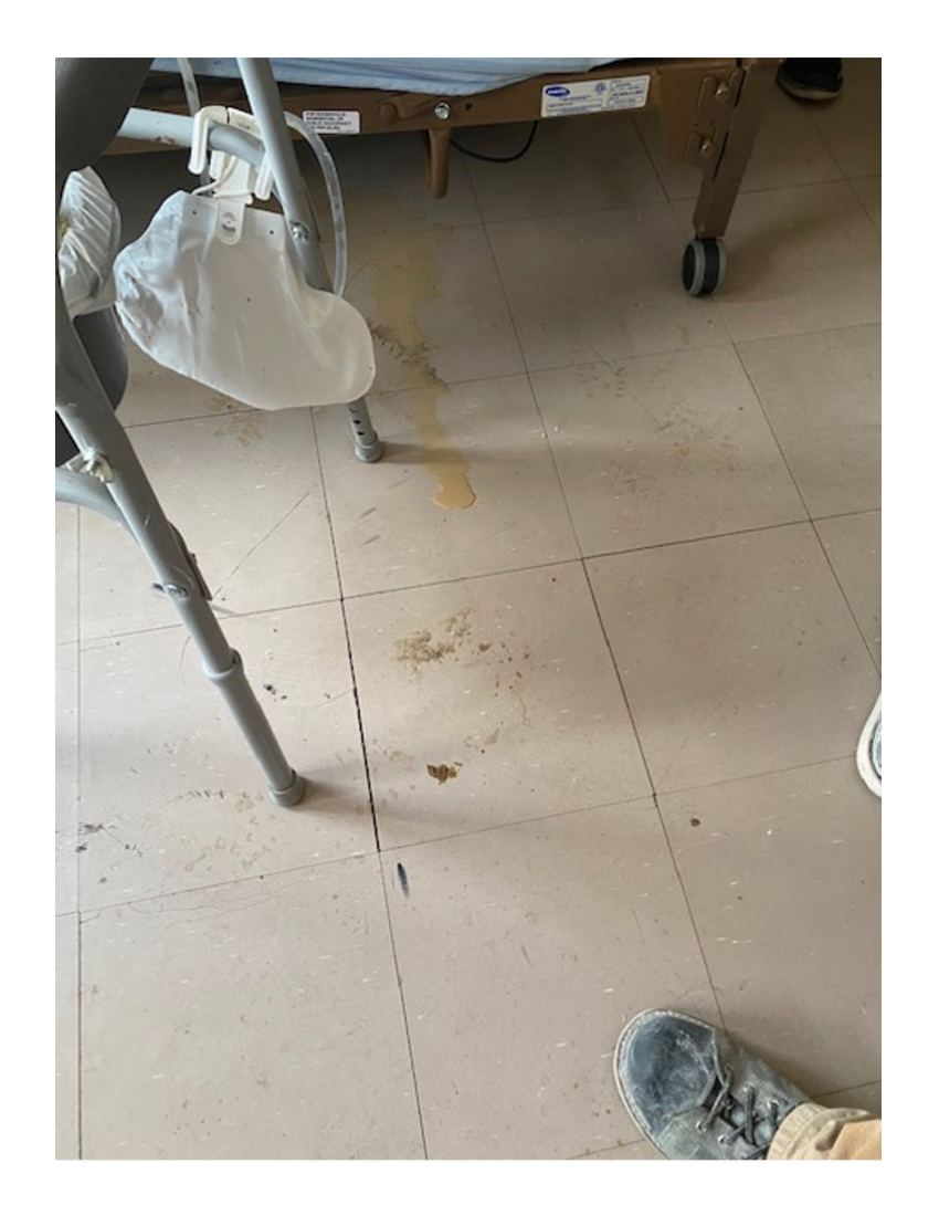 Hamilton man dies amid ‘disturbing’ living conditions at Niagara Falls home, says family - image