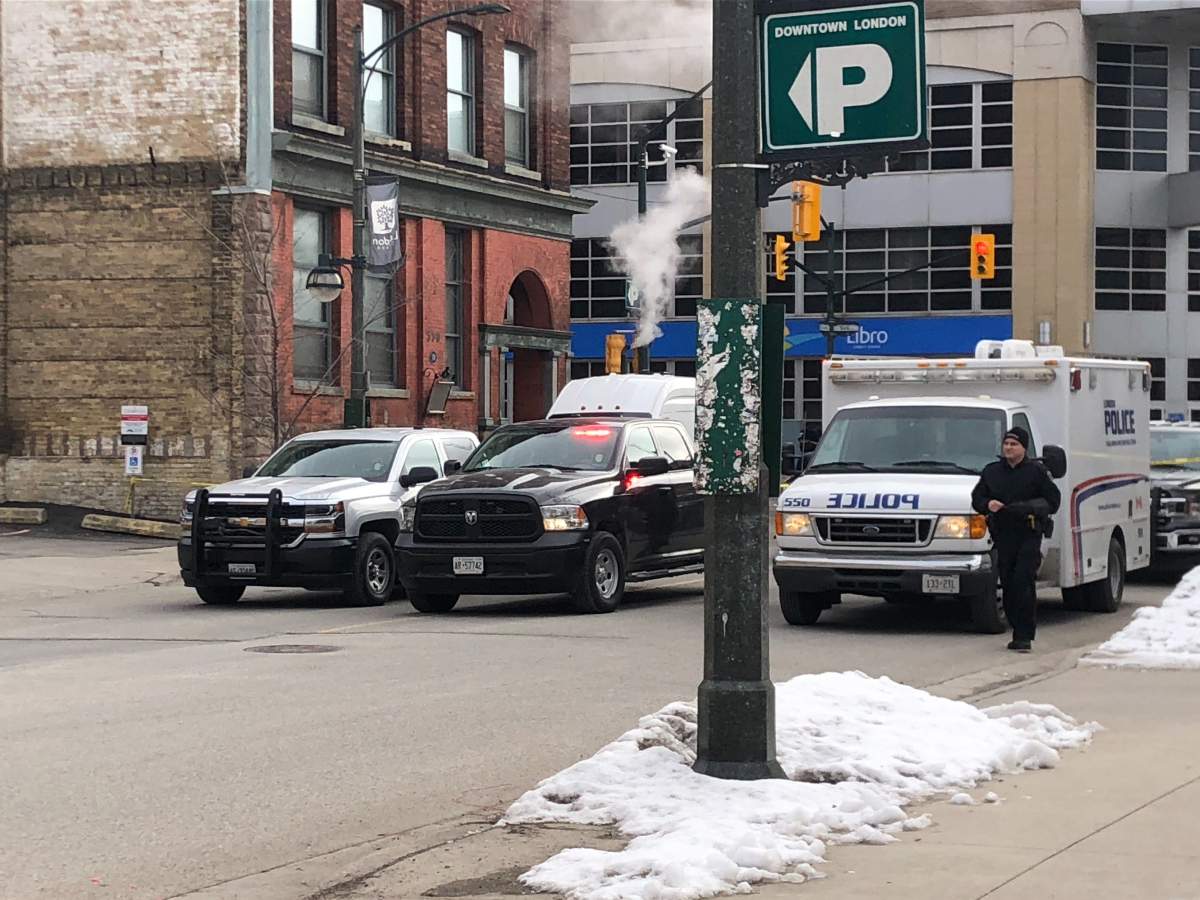 Woman dies in hospital after being hit by vehicle: London police ...