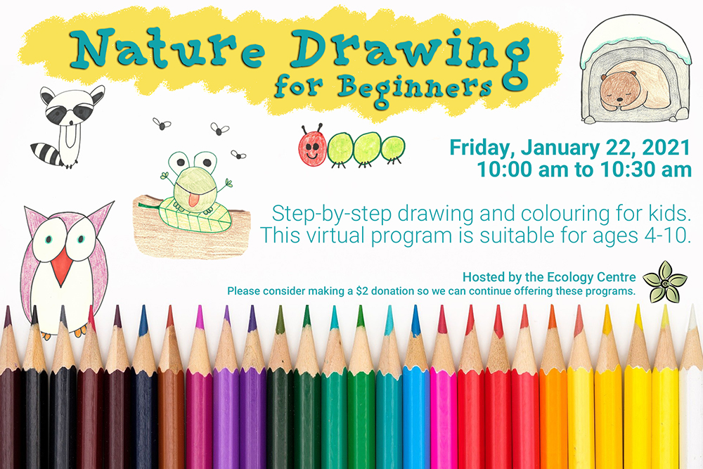 Nature Drawing - Seasonal Trees - Inner Child Fun