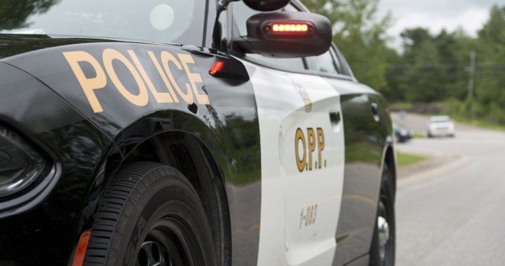 Driver killed after getting out of vehicle following crash on Highway 401 near Guelph
