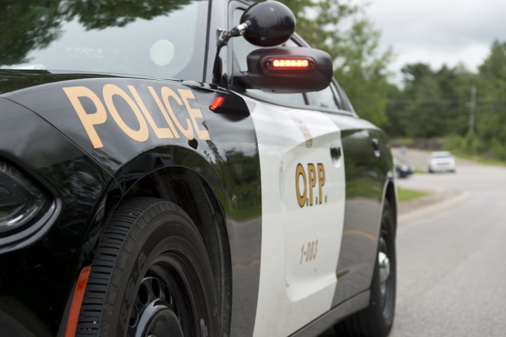 New York man arrested after 3 people followed in Mount Forest, Ont.