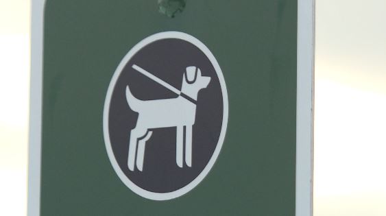 On-leash signs