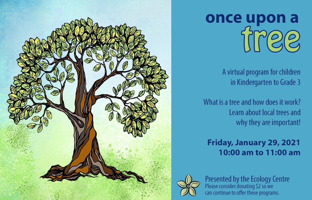 Once Upon A Tree - image