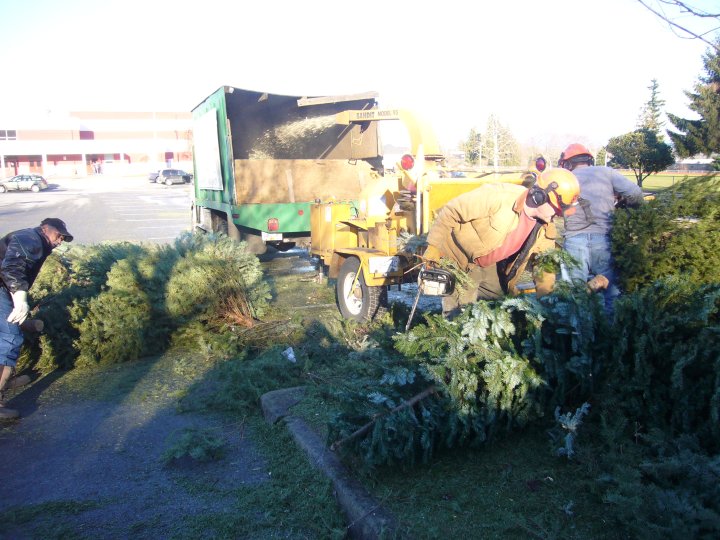 Christmas Tree Chipping GlobalNews Events