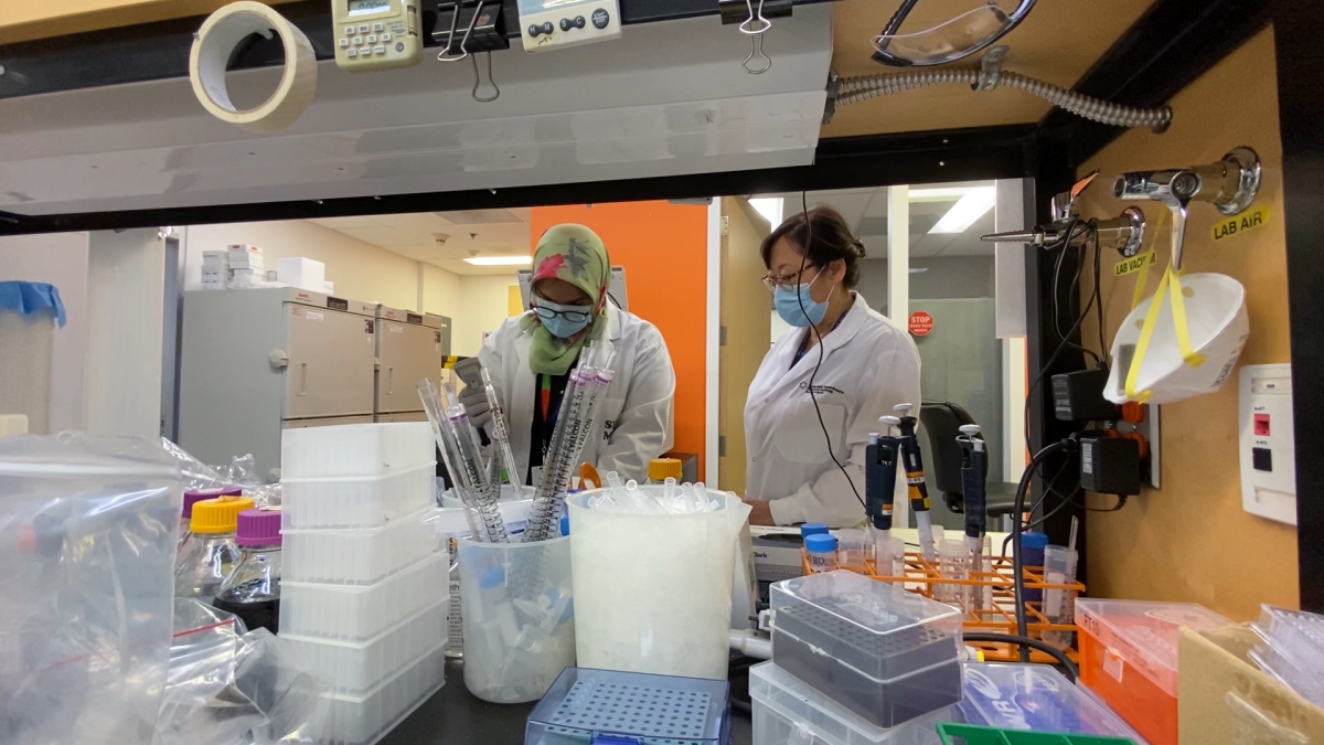 Lab technicians at Mount Sinai Hospital in Toronto process blood samples to test for COVID-19 antibodies.