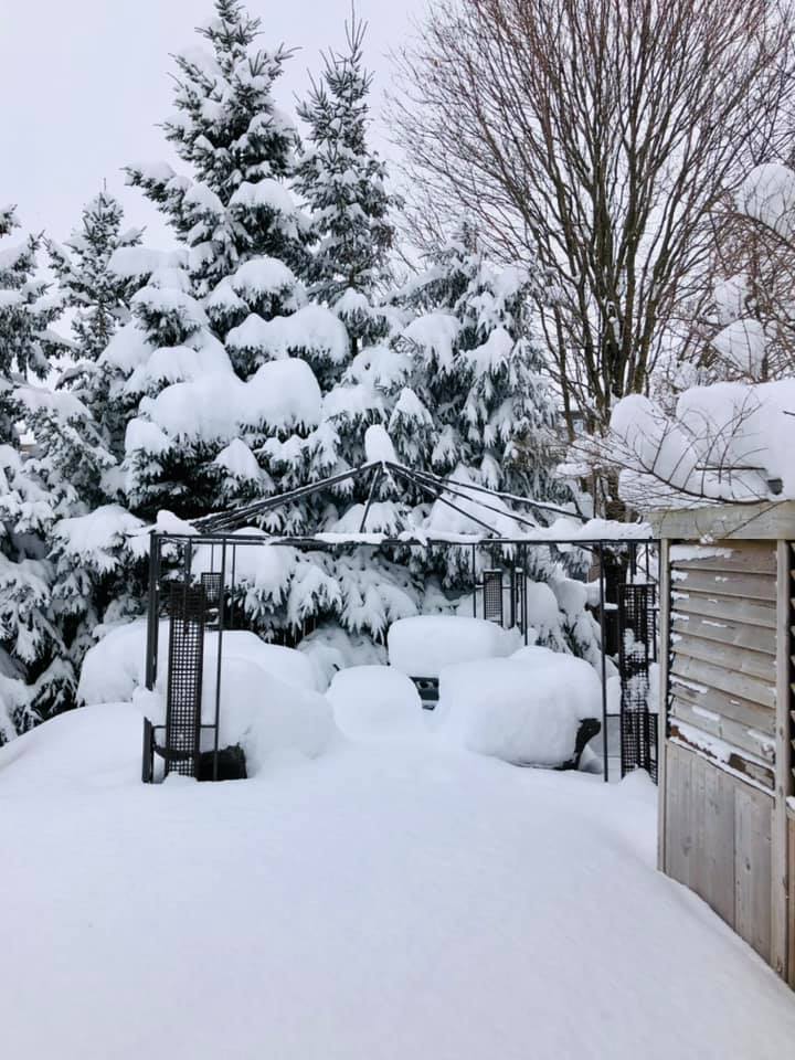 Snowfall in Ilderton, Ont.