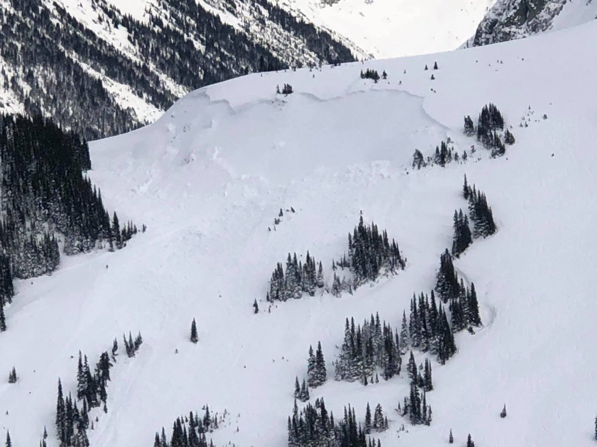 An avalanche near Whistler on Saturday. 