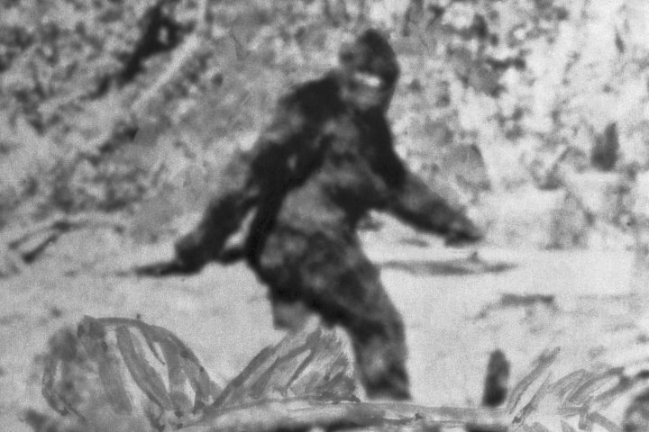 Reality TV series looking for Bigfoot now airing, parts of Ontario in spotlight