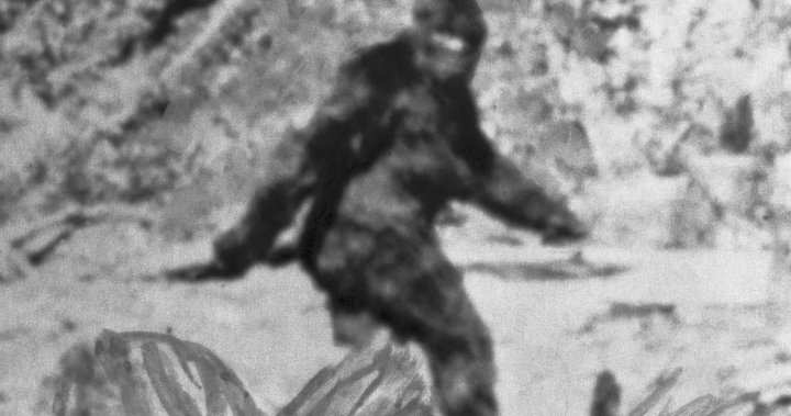 Scientist says most Bigfoot sightings boil down to this simple explanation  | Globalnews.ca
