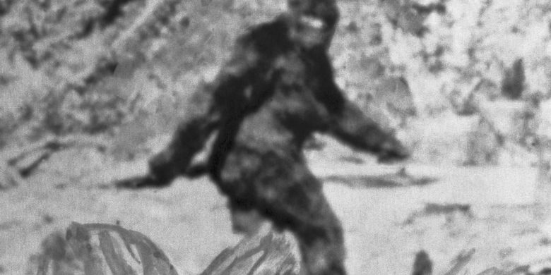 Scientist says most Bigfoot sightings boil down to this simple explanation