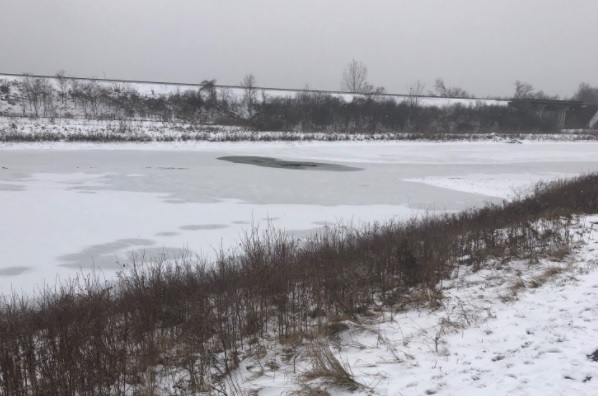 A man was pulled out of the water by a bystander after falling through the ice in northwest London.