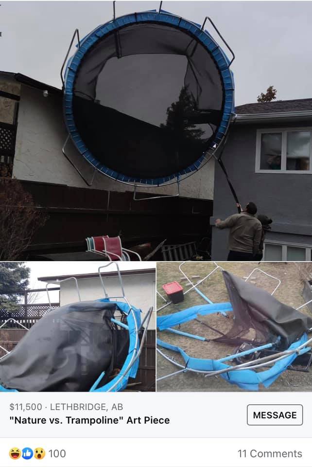 Tammy Sonnenberg’s humorous post advertised their family’s trampoline which had blown up onto the roof as abstract art.