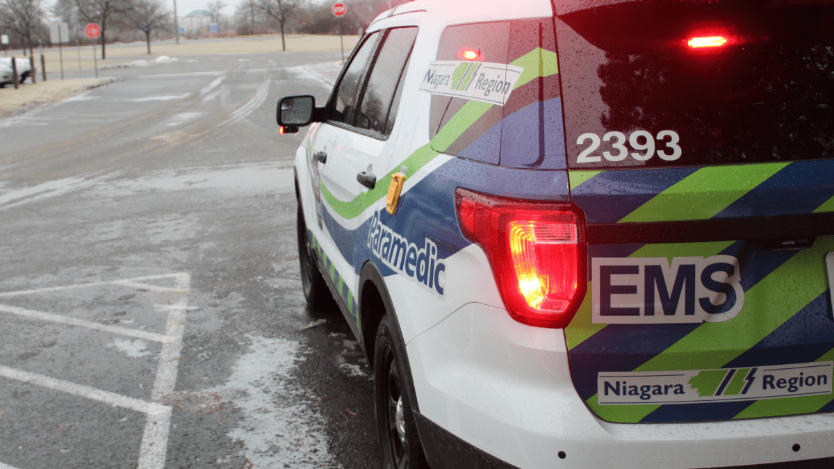 Man airlifted to hospital after hit by falling tree in Niagara - image