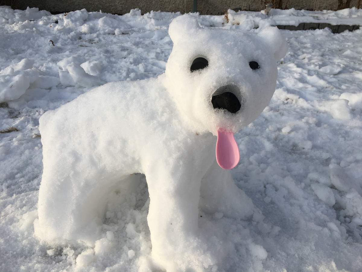 Jordan Pearn / Global News