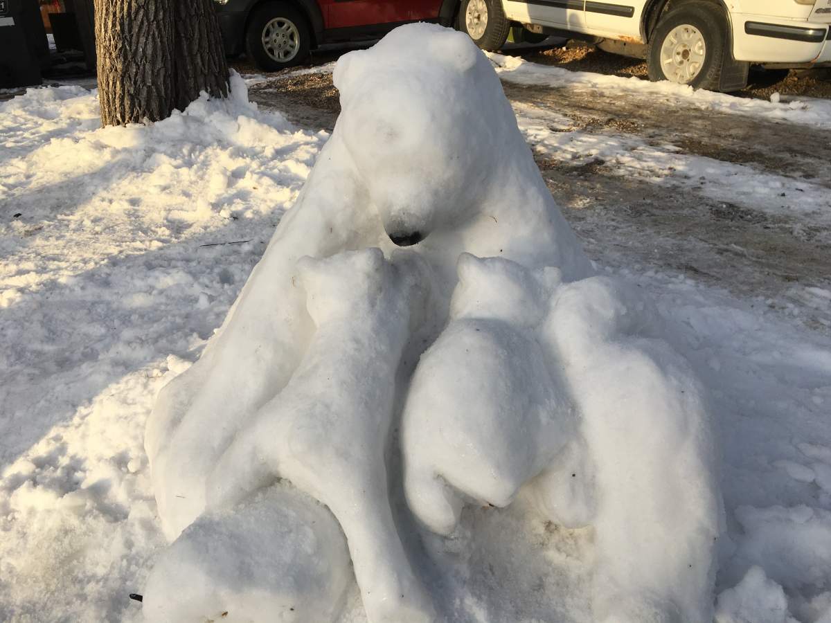 Jordan Pearn / Global News