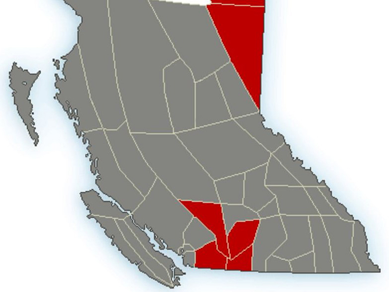 Environment Canada has issued a near-province-wide special weather statement calling for sudden temperature drops because of incoming Arctic air.