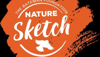 Robert Bateman Nature Sketching (Virtual) - image