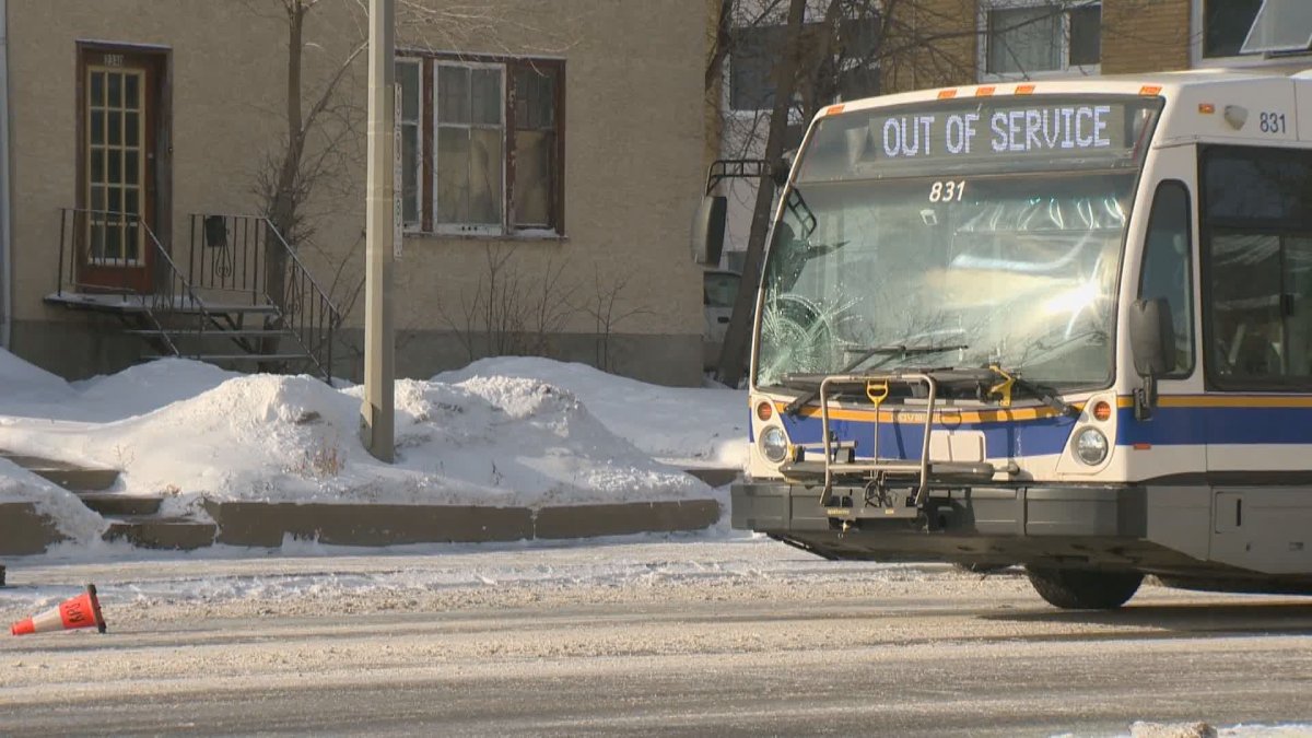 Regina police say there was no criminal wrongdoing in the death of a man who was hit by a Regina Transit bus on Broad Street Wednesday afternoon.