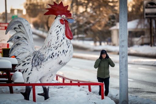 A pedestrian walks past a large chicken wearing a mask outside a fast-food restaurant in Calgary, Alta., Monday, Dec. 28, 2020, amid the COVID-19 pandemic.