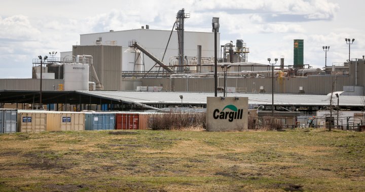 Pekerja Cargill di Alberta memilih 71% mendukung tawaran kontrak
