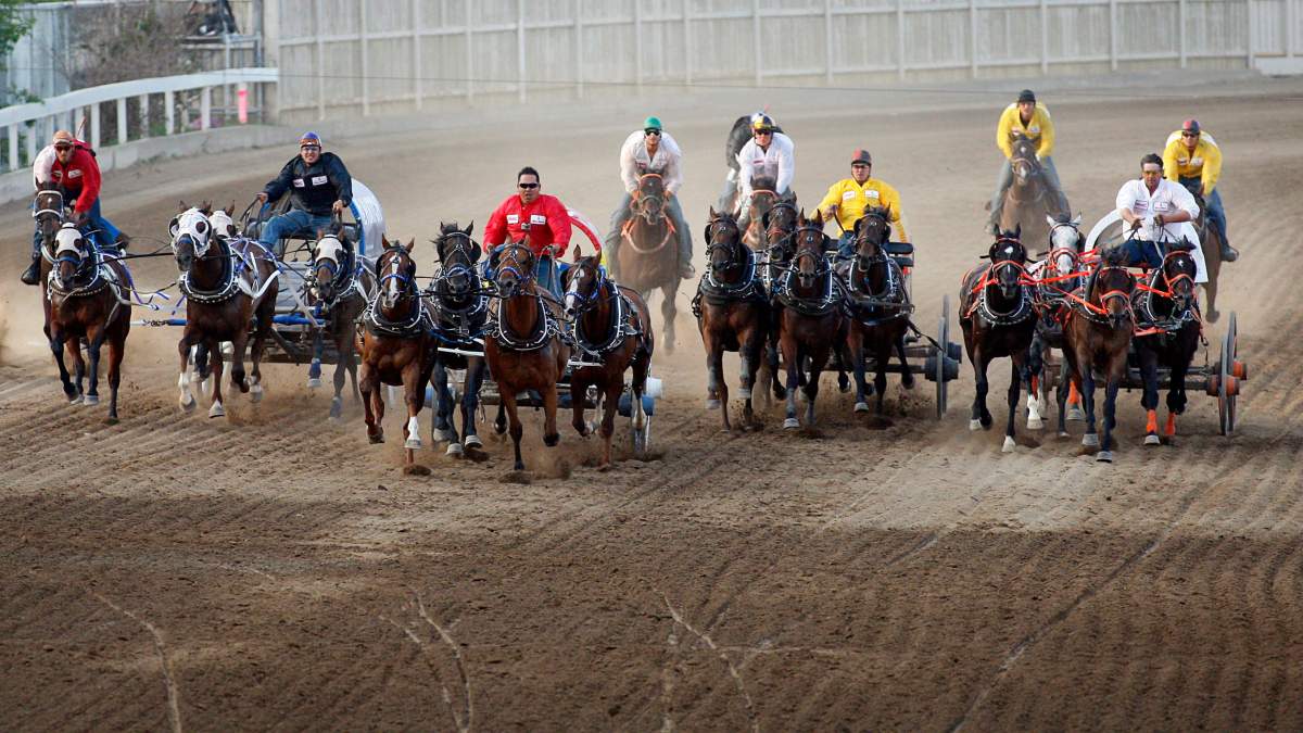 A chuckwagon race is seen during the Calgary Stampede on July 13, 2012.