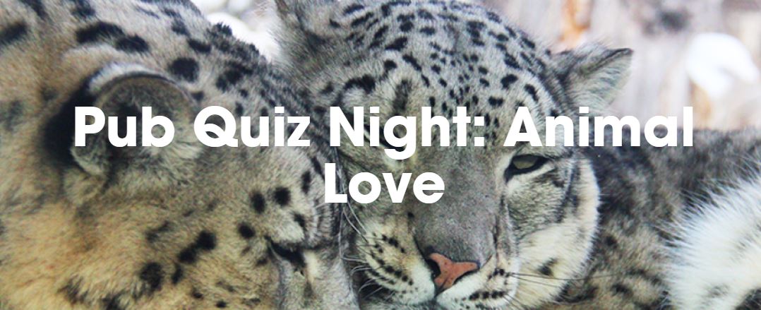 Calgary Zoo – Pub Quiz Night: Animal Love - image