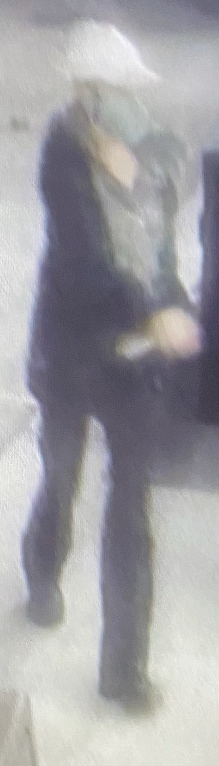 Suspect in a theft at a Fraserville gas station.