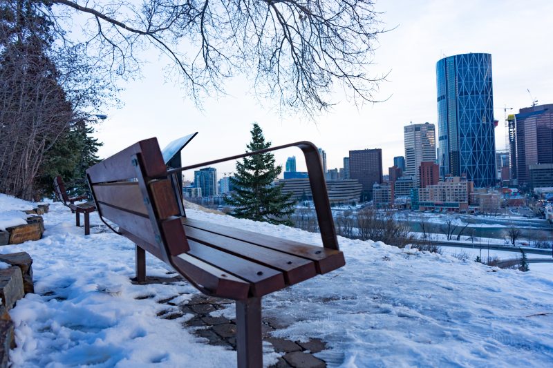 Park bench outdoors with Calgary Skyline in front.
