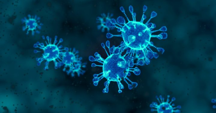 Coronavirus cells. Animation group of viruses that cause respiratory infections under the microscope.