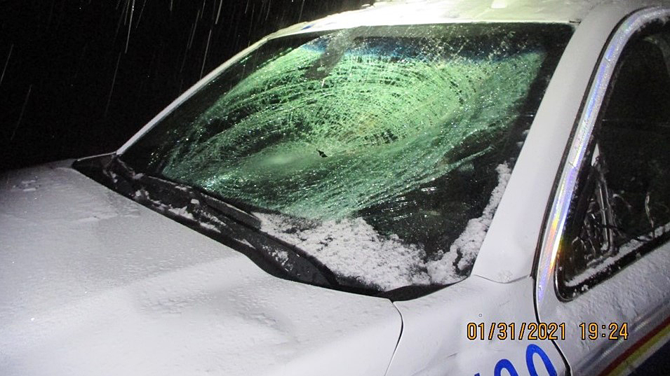 A photo showing the shattered windshield of an RCMP vehicle following a highway mishap with a moose near Hudson’s Hope, B.C., on Jan. 31.