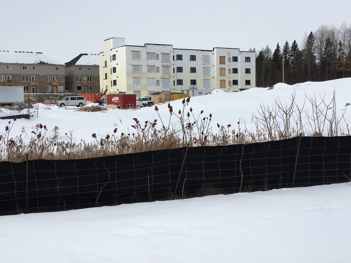 Phase 2 of an affordable housing project on Water St. in Peterborough will feature 46 units.