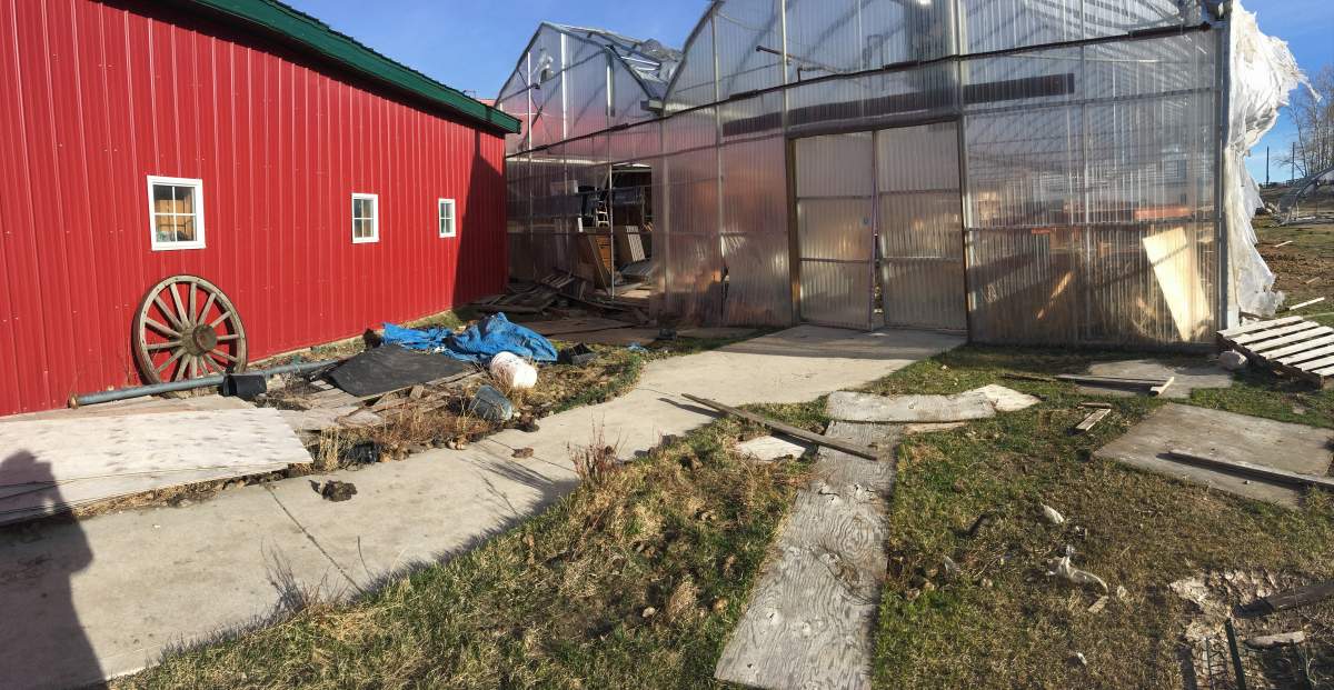 The greenhouse currently sits abandoned near Park Lake.