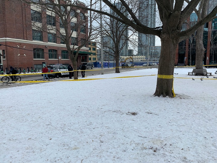 Toronto police tape off the area where alleged poisoned peanut shells are being dropped.