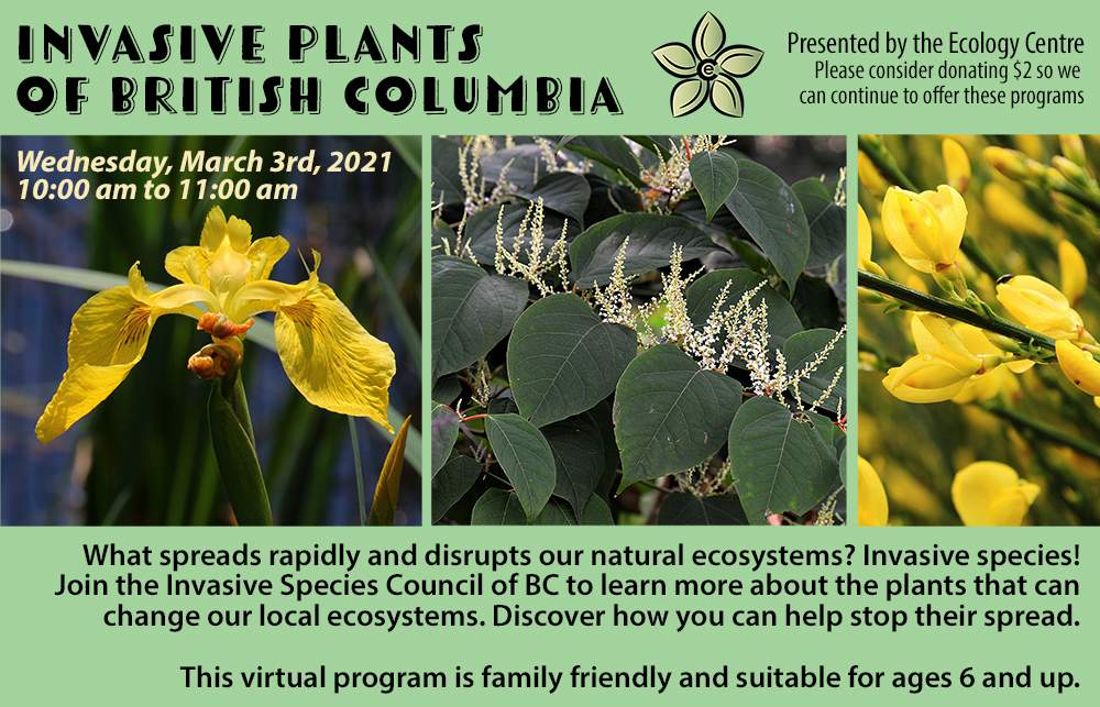 Invasive Plants of BC - image