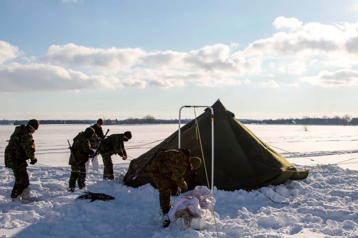 Guelph's 11th Field Regiment is training at Guelph Lake Conservation Area this weekend.