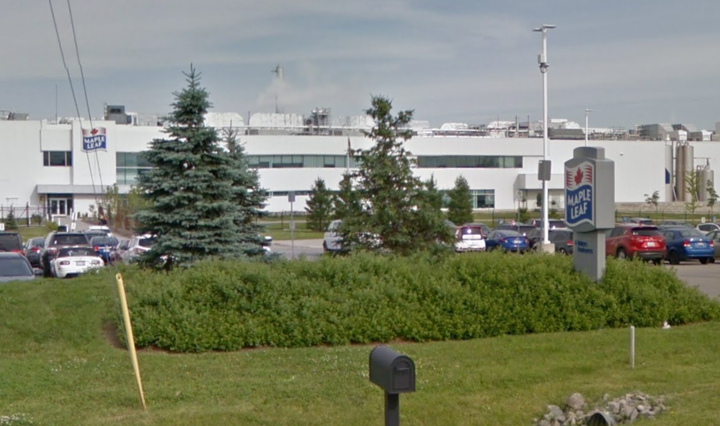 Hamilton man charged after two women stabbed at Maple Leaf Foods plant - image