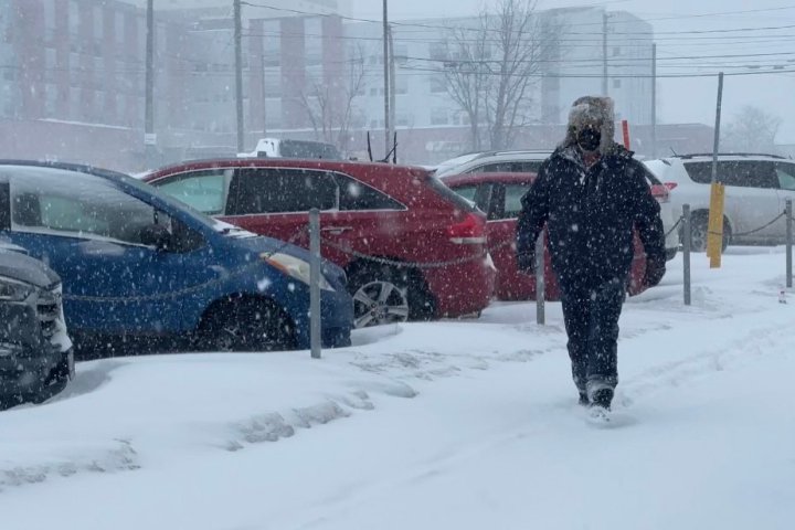 Snowfall warnings issued in N.B, lots of rain and wind coming for parts of N.S.