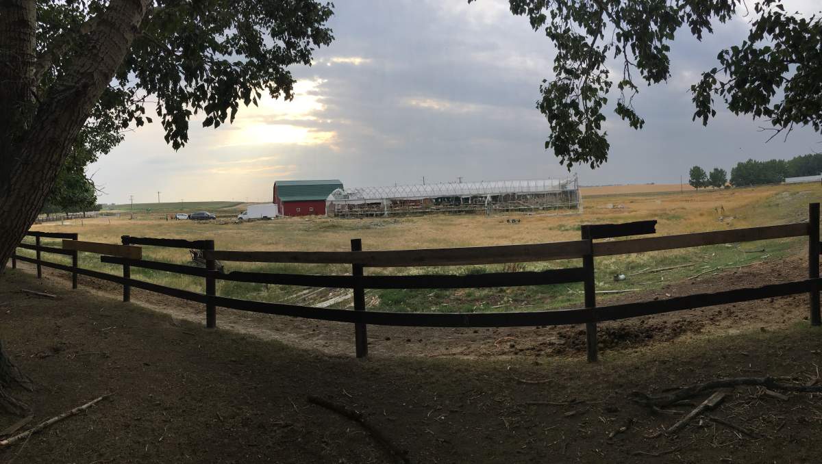 The greenhouse currently sits abandoned near Park Lake.