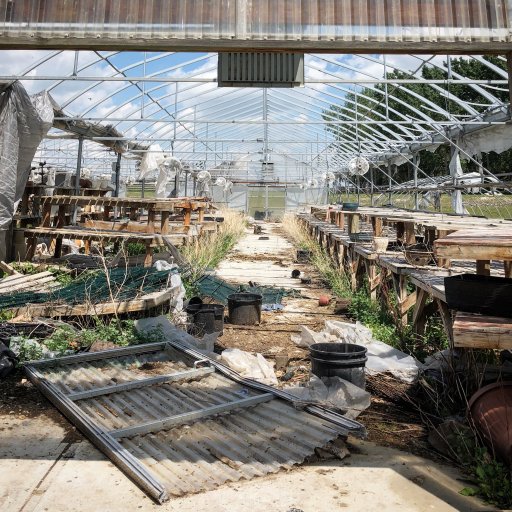 The greenhouse currently sits abandoned near Park Lake.