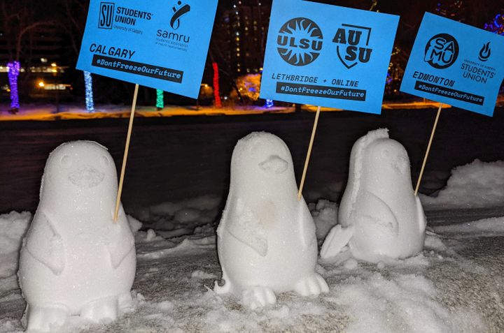 Three of some 800 snow penguins set up on the grounds of the Alberta legislature, are shown in this handout image provided by Jon Mastel, on Thursday, Jan. 28, 2020. 